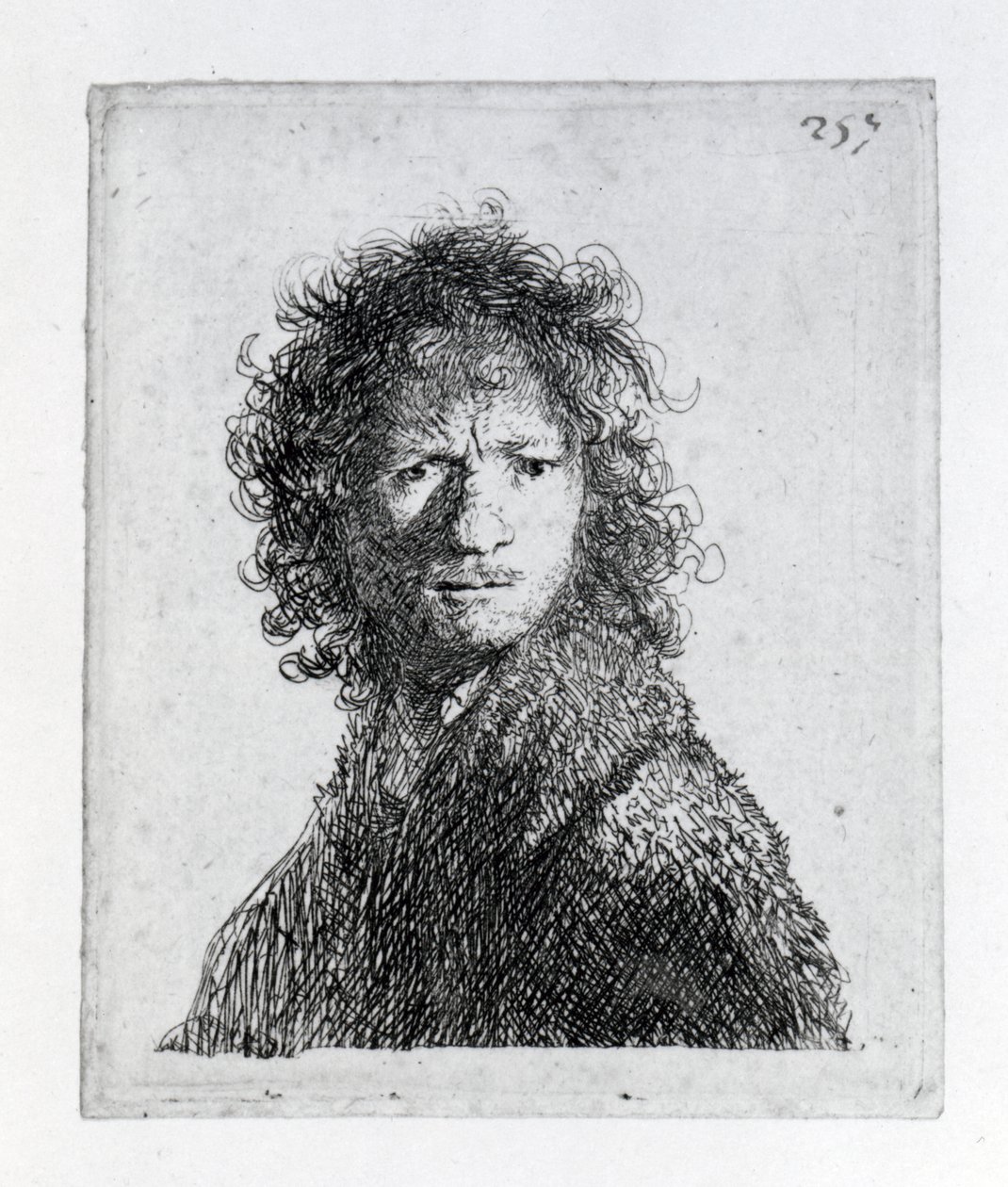 Self Portrait, 1630 by Rembrandt van Rijn