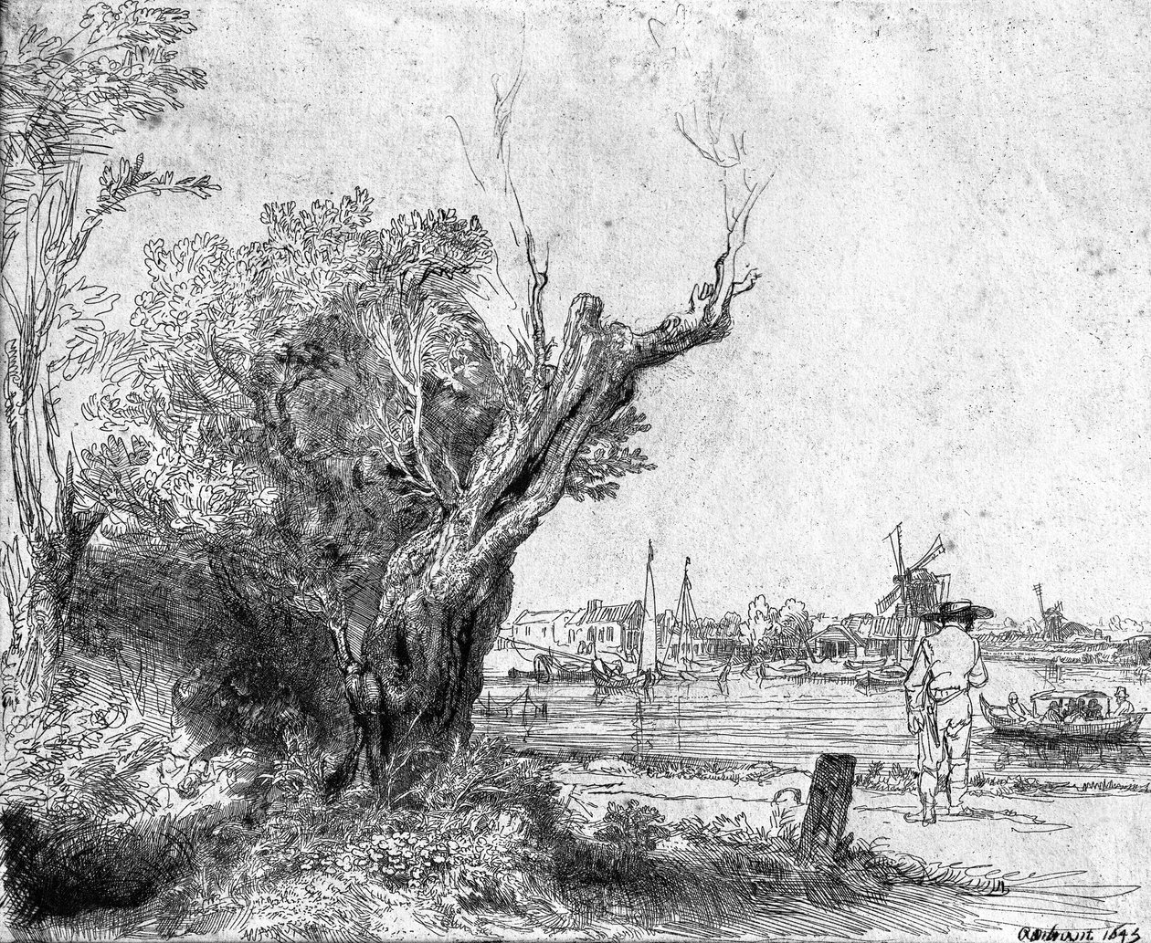 View of Omval, near Amsterdam, 1645 by Rembrandt van Rijn