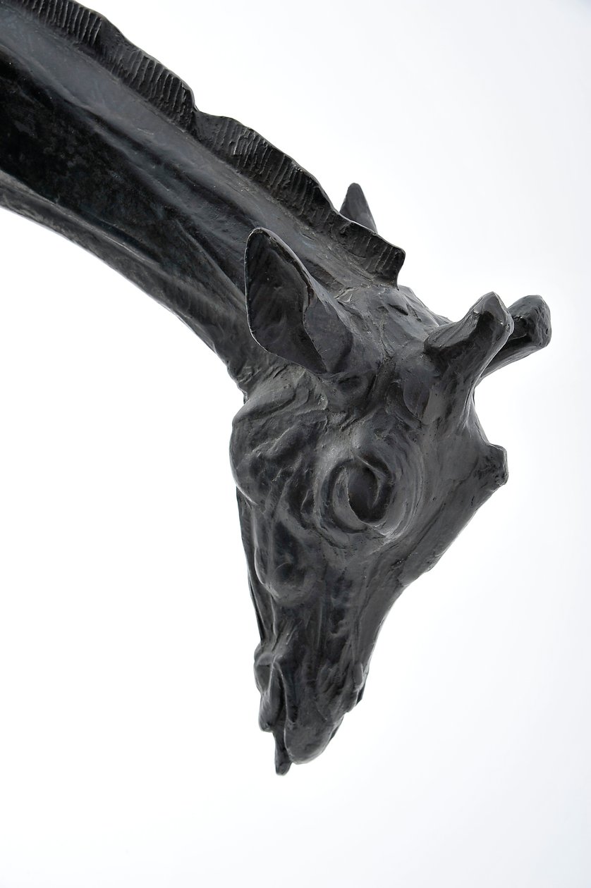 Large Giraffe with Lowered Head by Rembrandt Bugatti