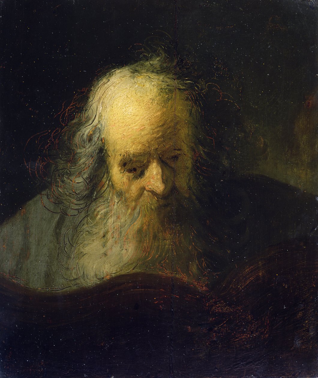 An Old Man Reading a Book by Rembrandt Harmensz. van Rijn (circle of)