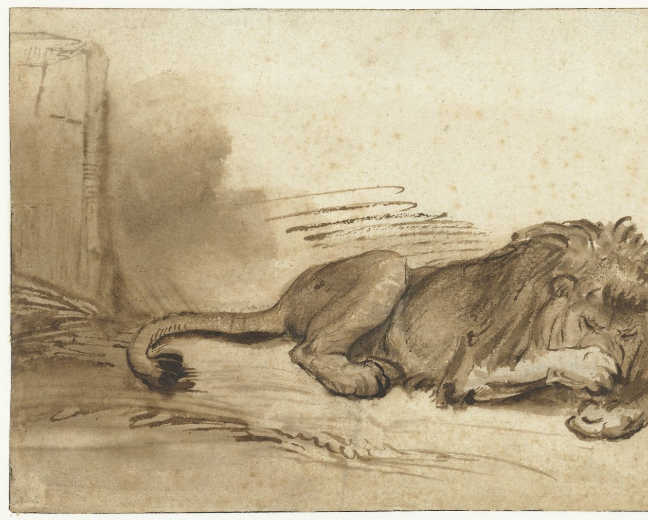 Reclining Lion with Its Forepaw over Its Muzzle by Rembrandt van Rijn (school of)