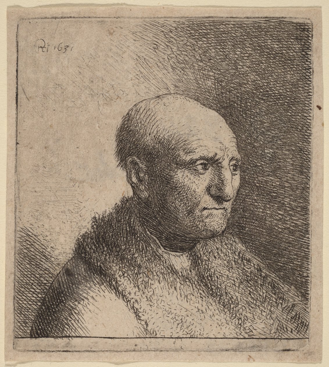 Bald Man in a Fur Cloak by Rembrandt van Rijn