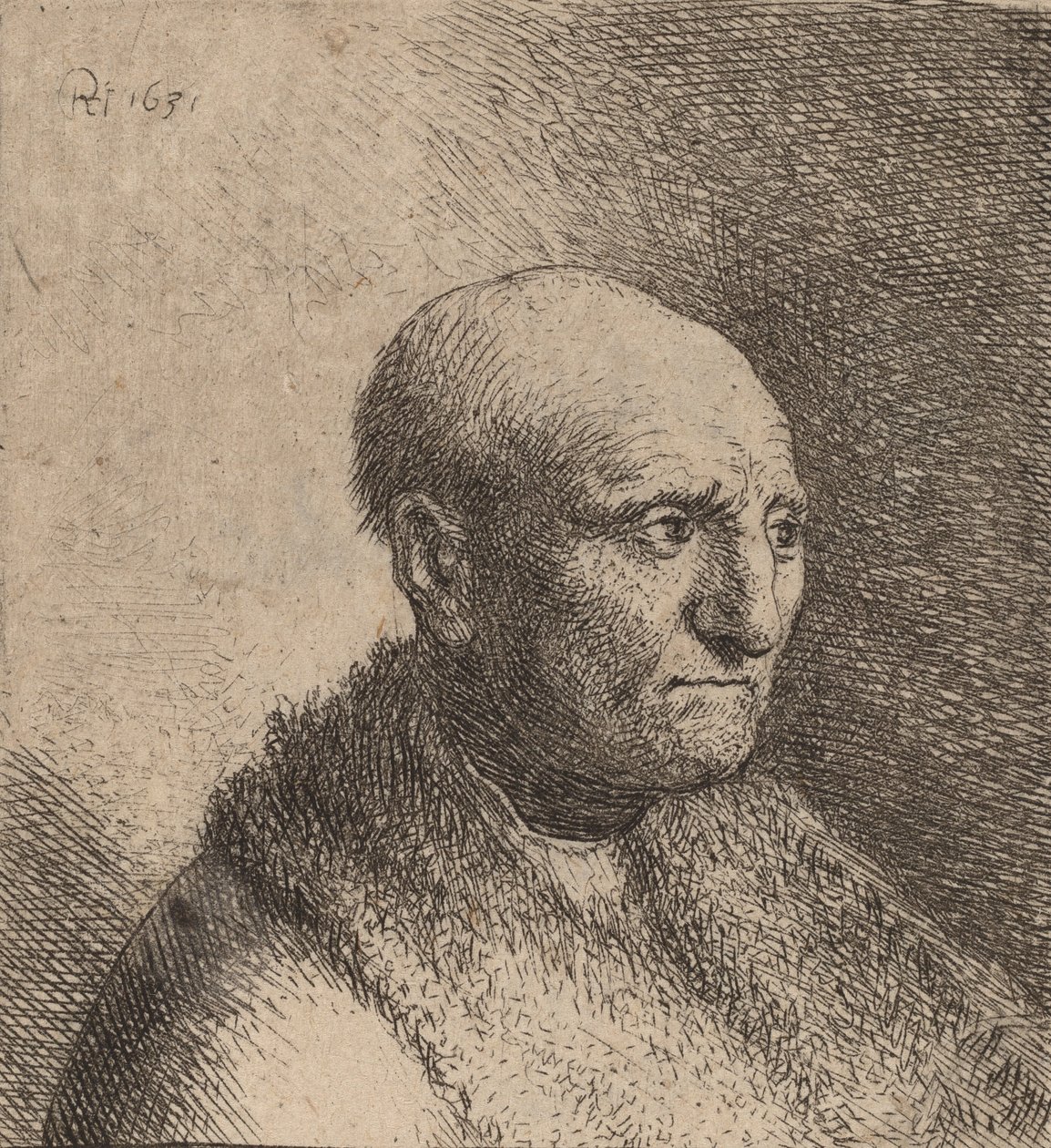 Bald Man in a Fur Cloak by Rembrandt van Rijn