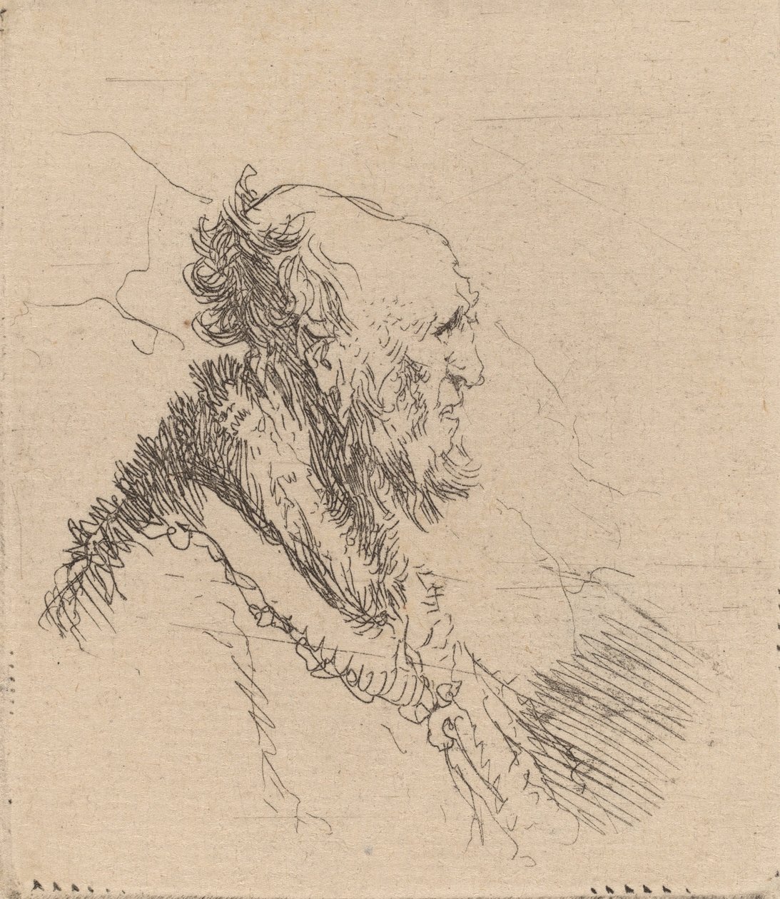 Bald Old Man with a Short Beard in Profile by Rembrandt van Rijn