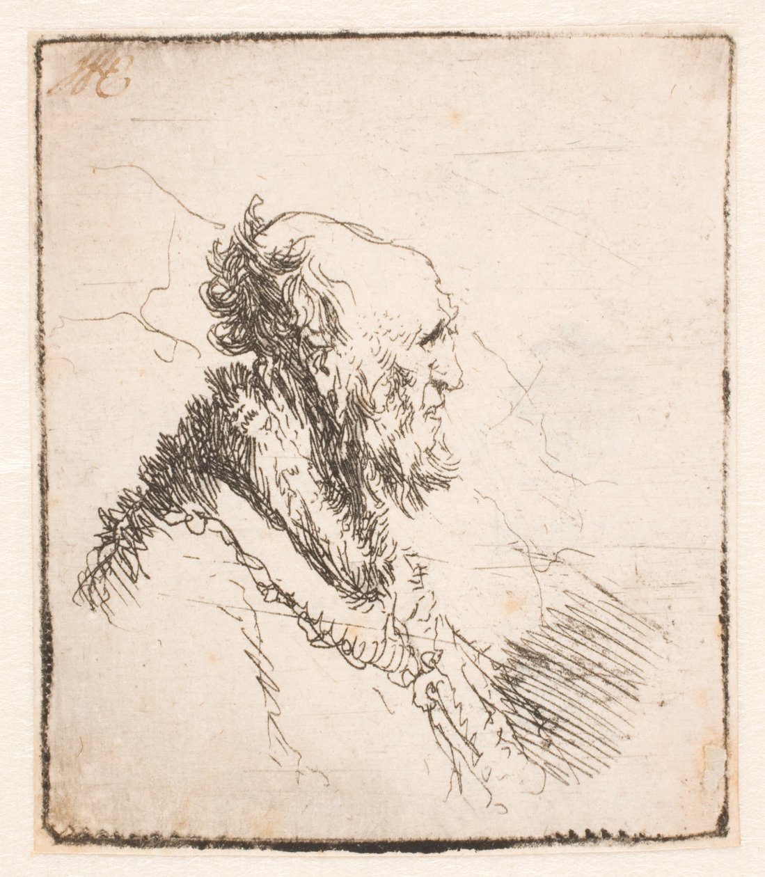 Bald Old Man with a Short Beard, in Profile Right by Rembrandt van Rijn