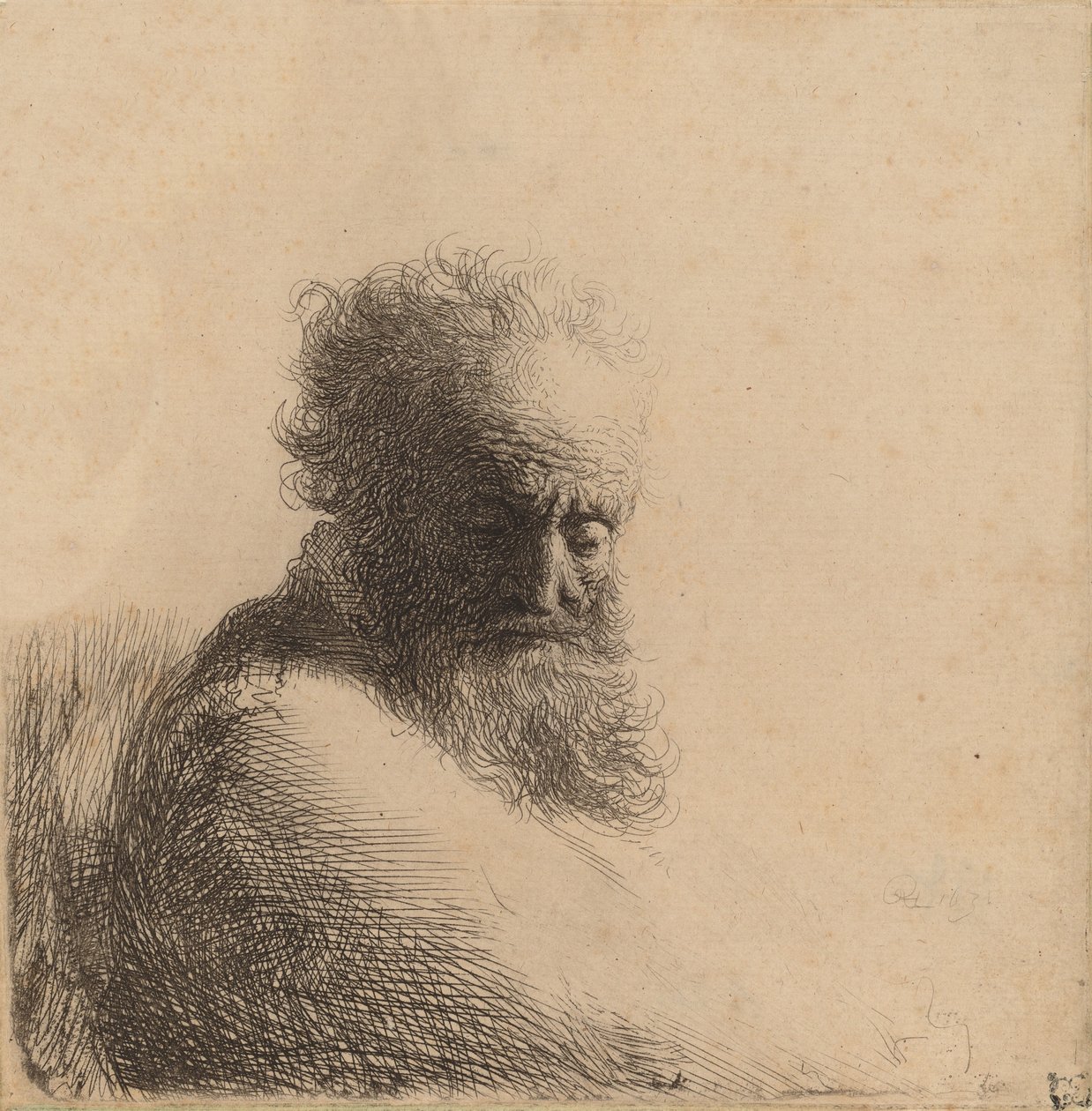 Bust of an Old Bearded Man, Looking Down, Three Quarters Right by Rembrandt van Rijn