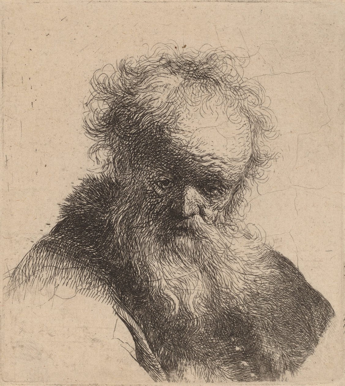 Bust of an Old Man with Flowing Beard and White Sleeve by Rembrandt van Rijn