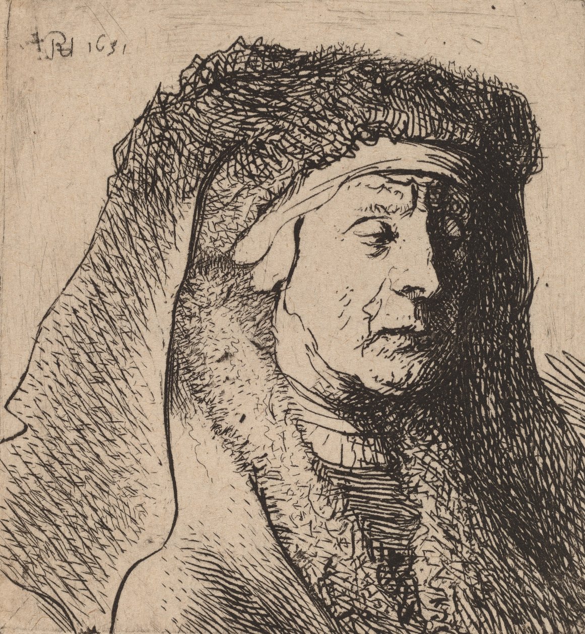 Bust of an Old Woman in a Furred Cloak and Heavy Headdress by Rembrandt van Rijn