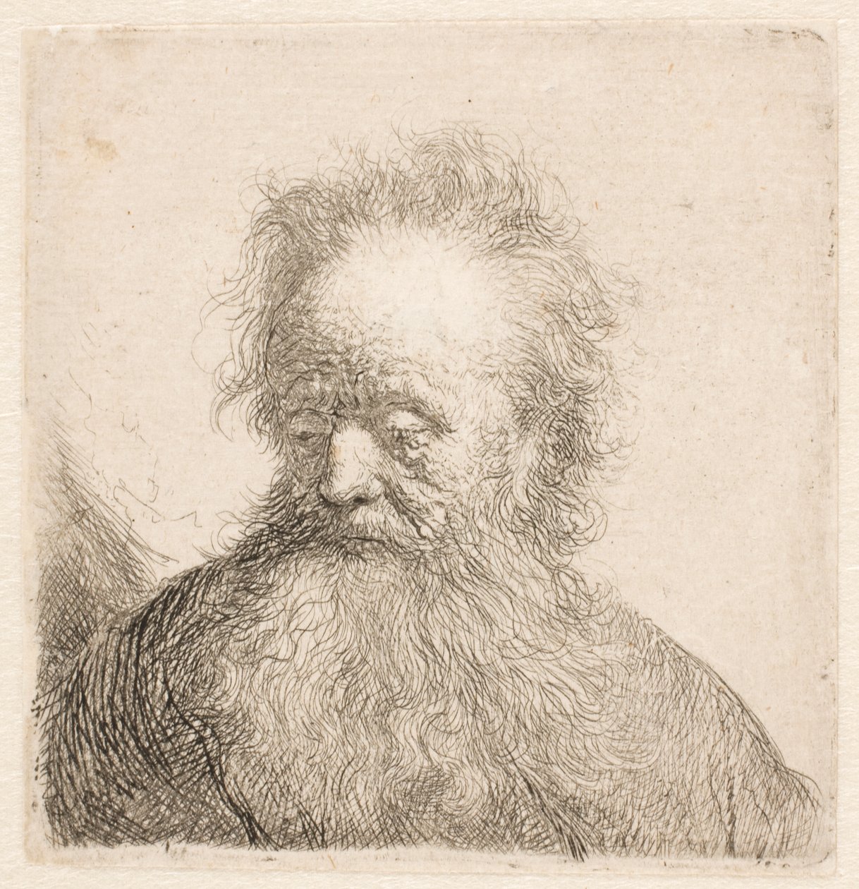 Bust of an Old Man with Flowing Beard by Rembrandt van Rijn