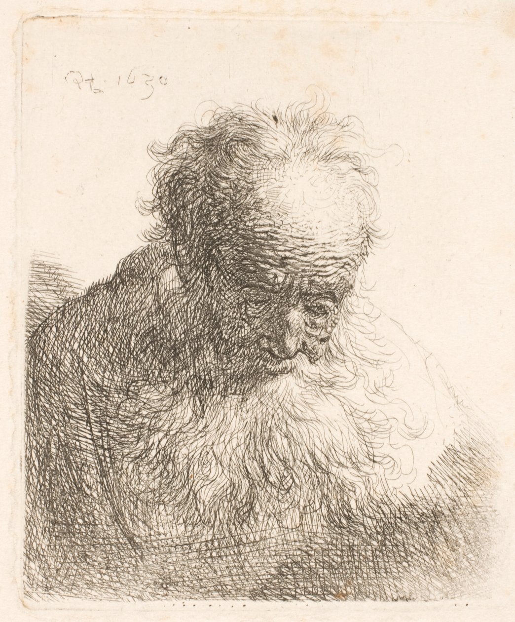 Bust of an Old Man with Flowing Beard by Rembrandt van Rijn