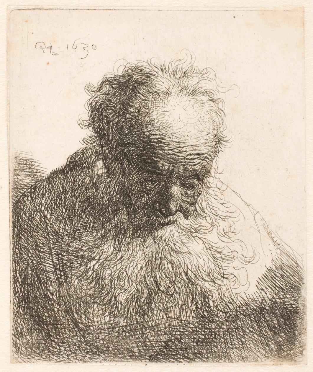 Bust of an Old Man with Flowing Beard: Head Bowed Forward by Rembrandt van Rijn