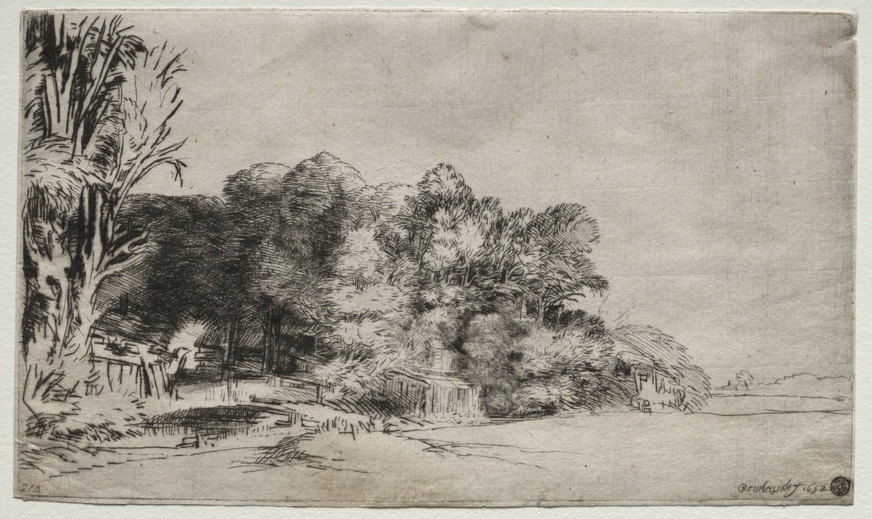 Clump of Trees with a Vista by Rembrandt van Rijn