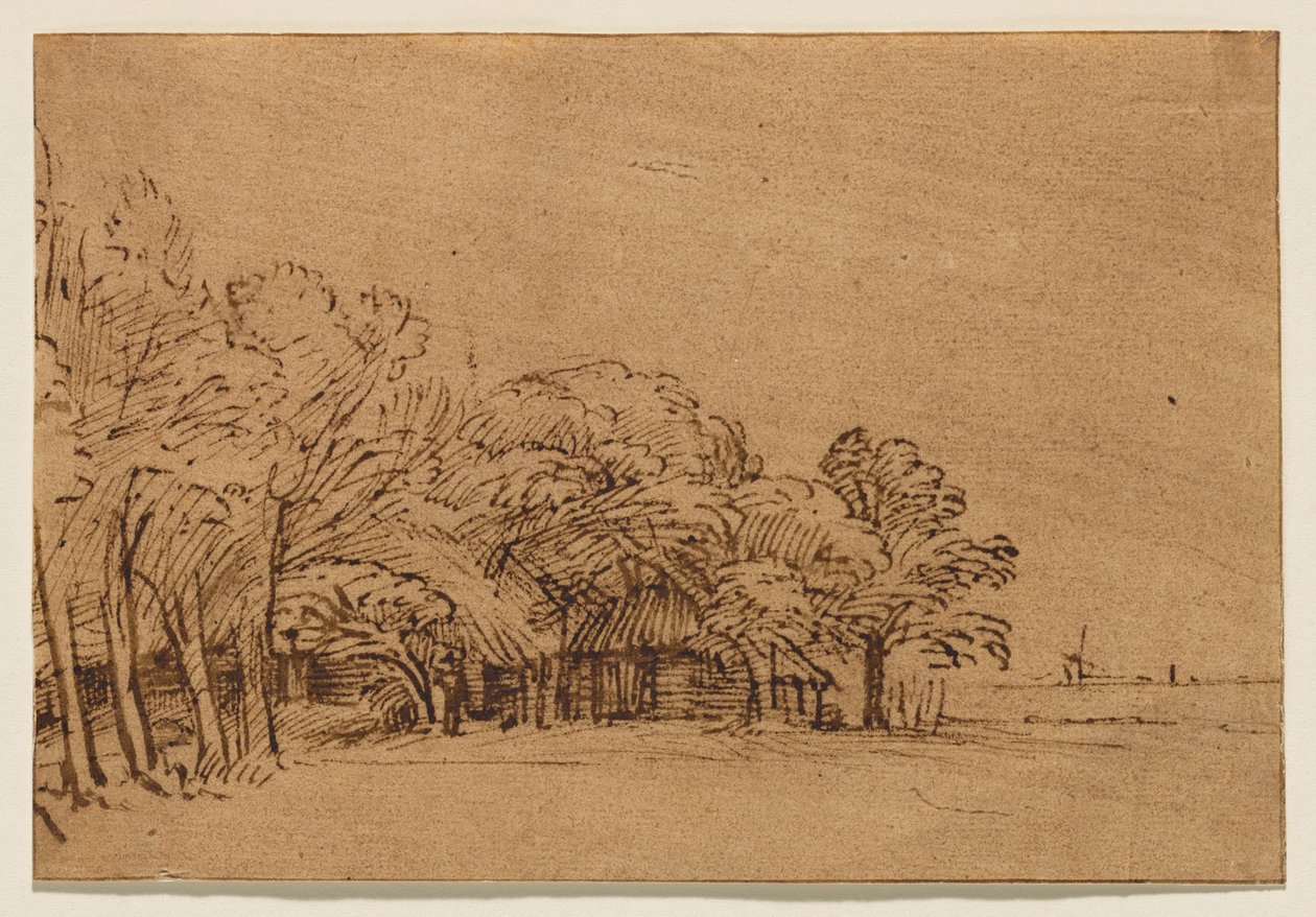 Farm under Trees by Rembrandt van Rijn
