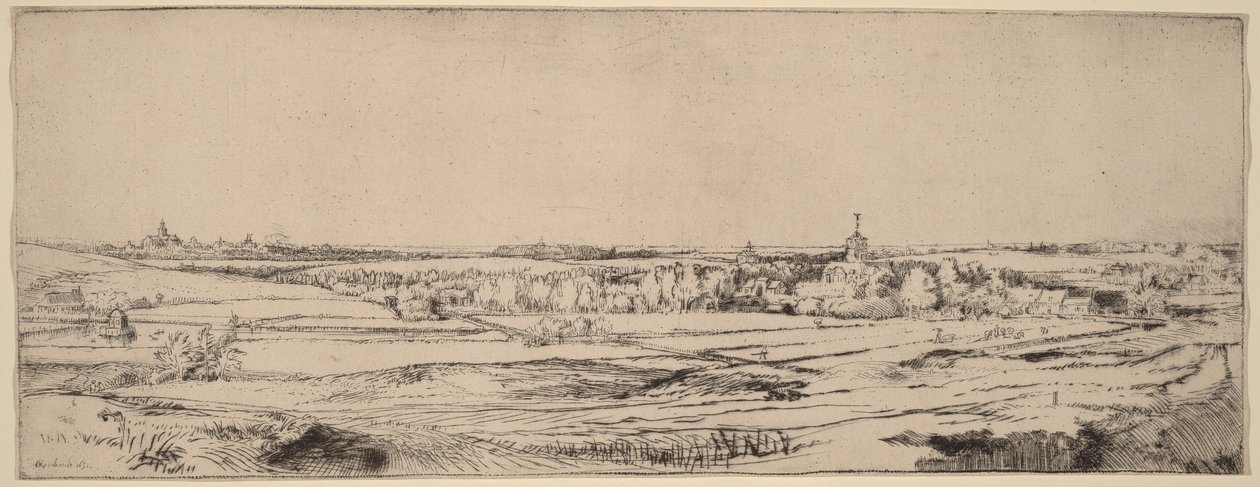 Landscape with a View toward Haarlem (The Goldweigher