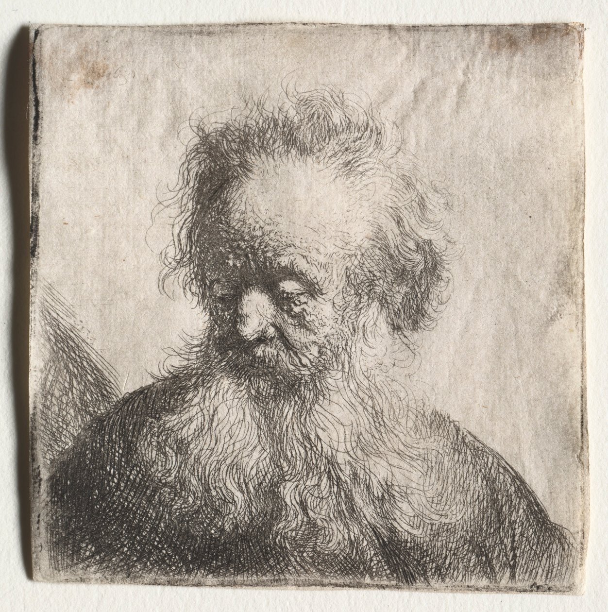 Old Man with a Flowing Beard: Bust, 1631 by Rembrandt van Rijn