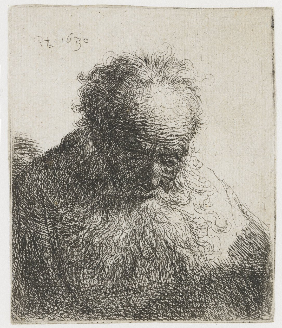 Old Man with a Flowing Beard, the Left Shoulder Unshaded by Rembrandt van Rijn