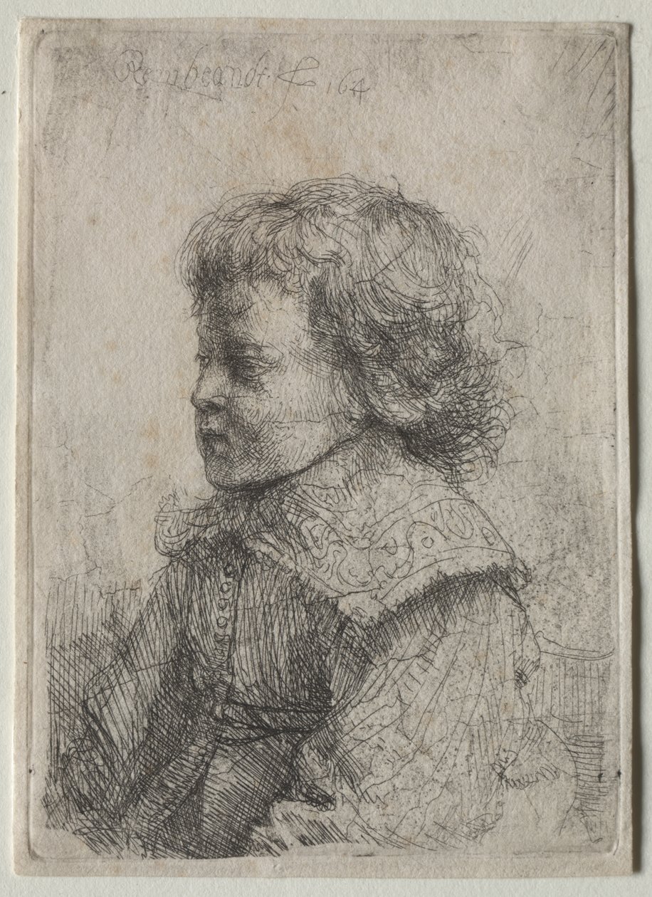 Portrait of a Boy in Profile by Rembrandt van Rijn