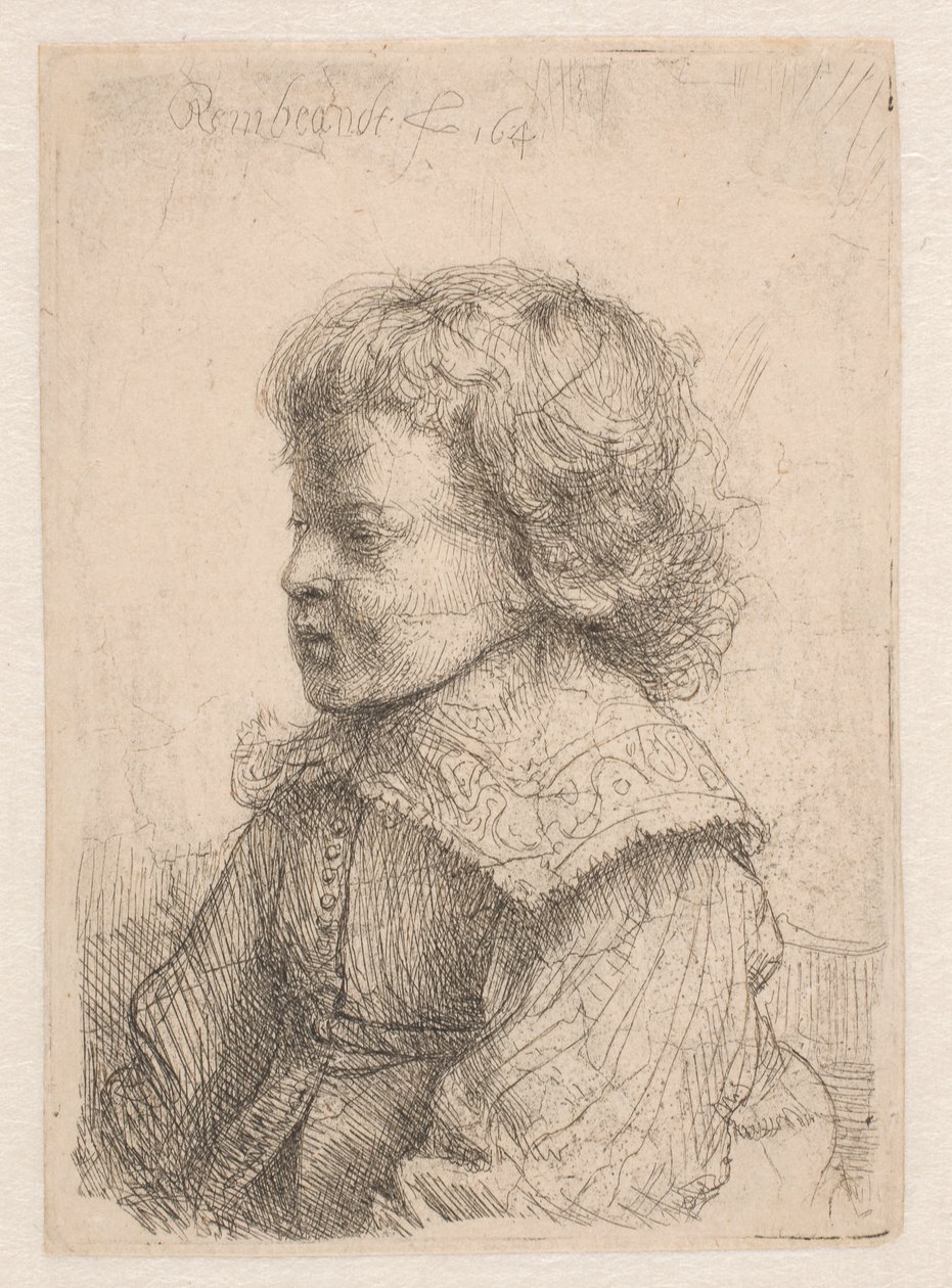 Portrait of a Boy, in Profile by Rembrandt van Rijn