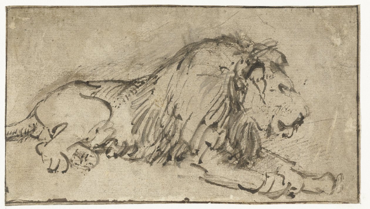 Recumbent Lion by Rembrandt van Rijn