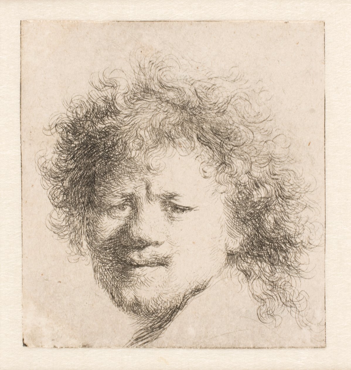 Rembrandt with Long Bushy Hair: Head Only by Rembrandt van Rijn