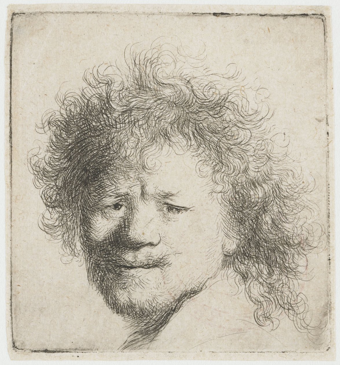 Self-portrait with Long Bushy Hair: Head Only by Rembrandt van Rijn
