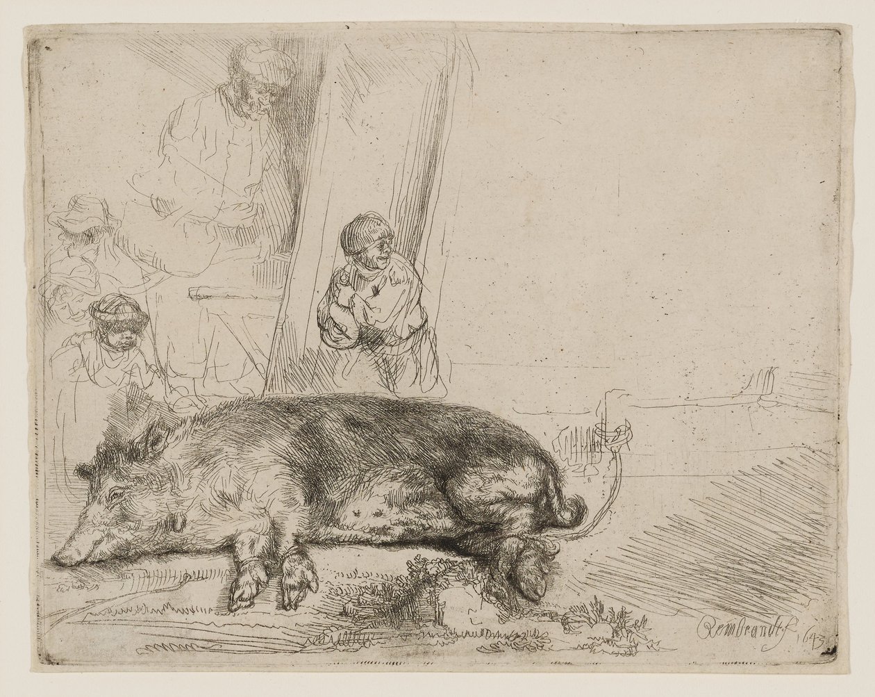 The Hog by Rembrandt van Rijn