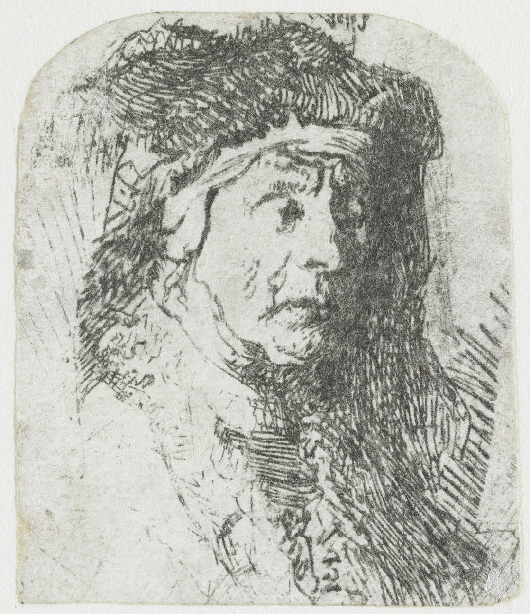 Woman in a Fur-Trimmed Cloak by Rembrandt van Rijn