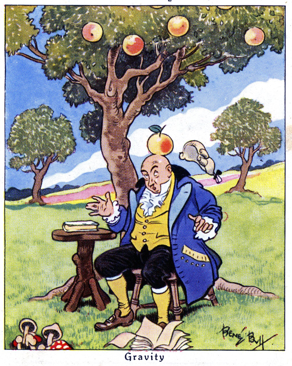 Isaac Newton discovers gravity, 1936 by René Bull