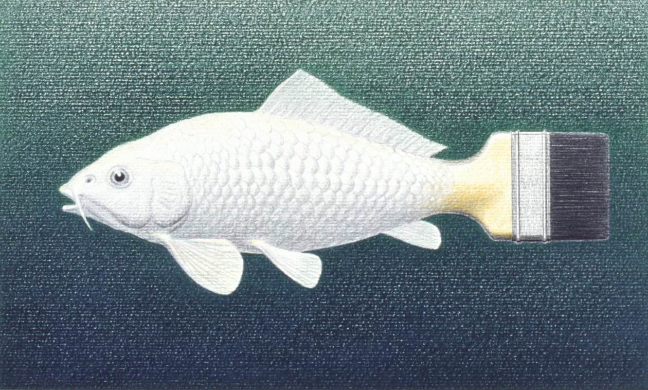 Brushfish by Rene Boin: Highest-quality art reproduction