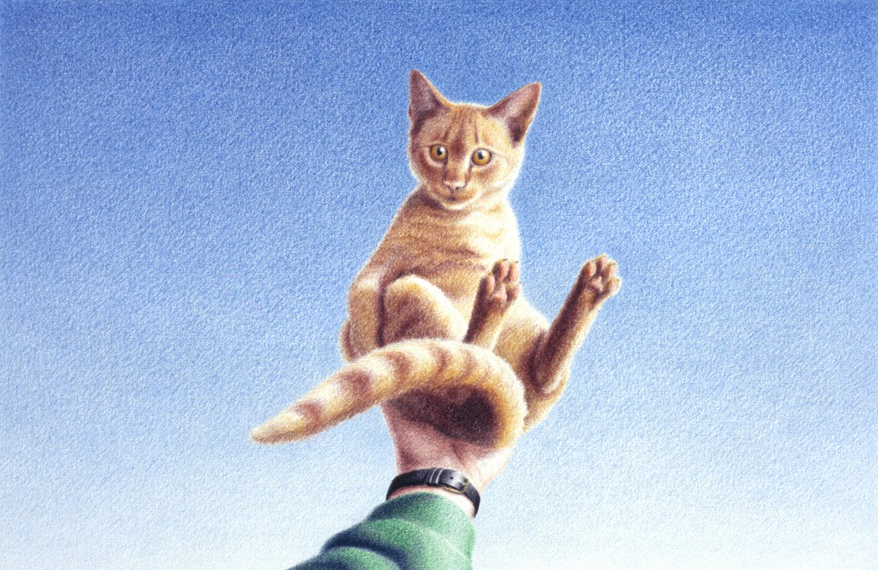 Handfull by Rene Boin