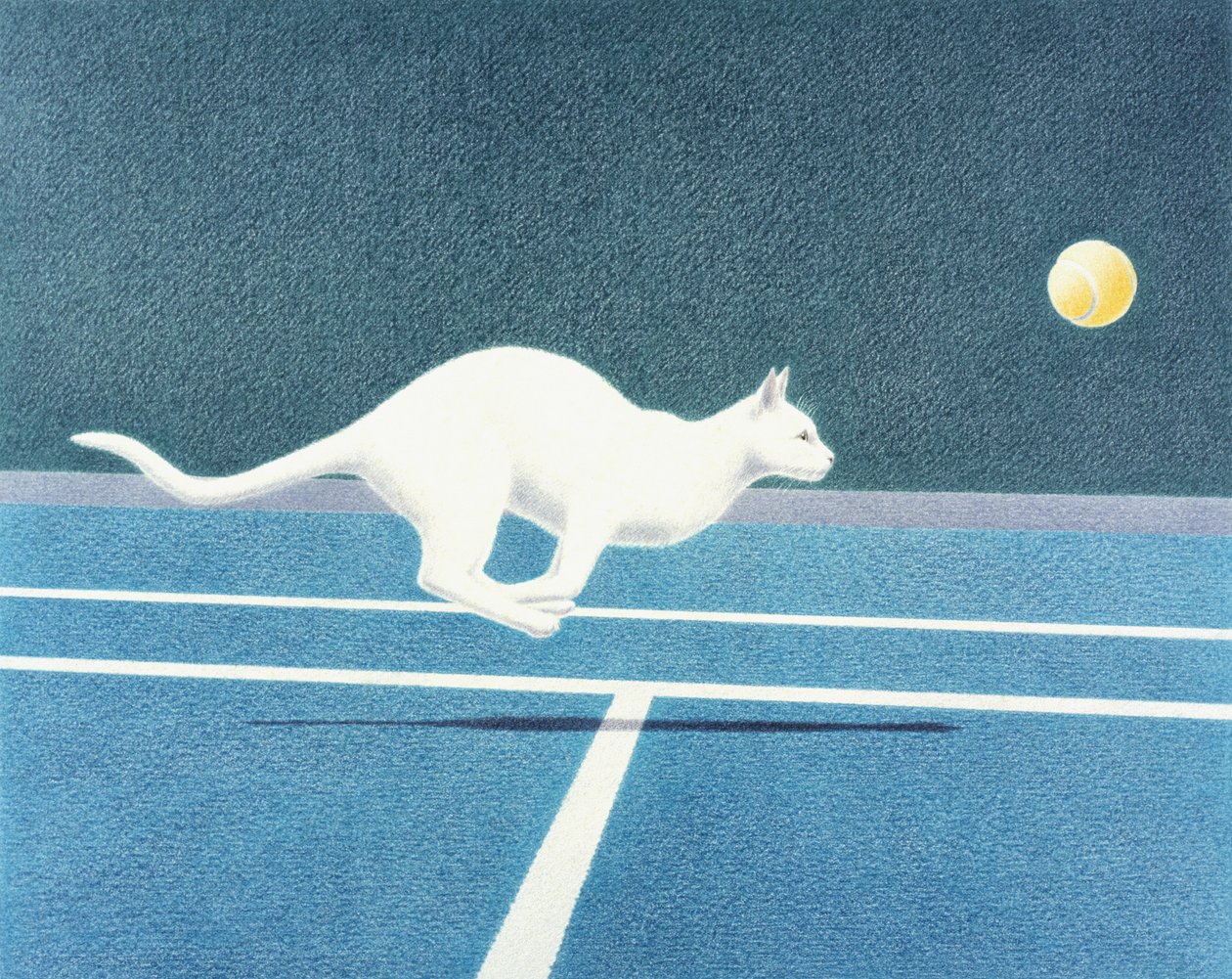 Tennis by Rene Boin