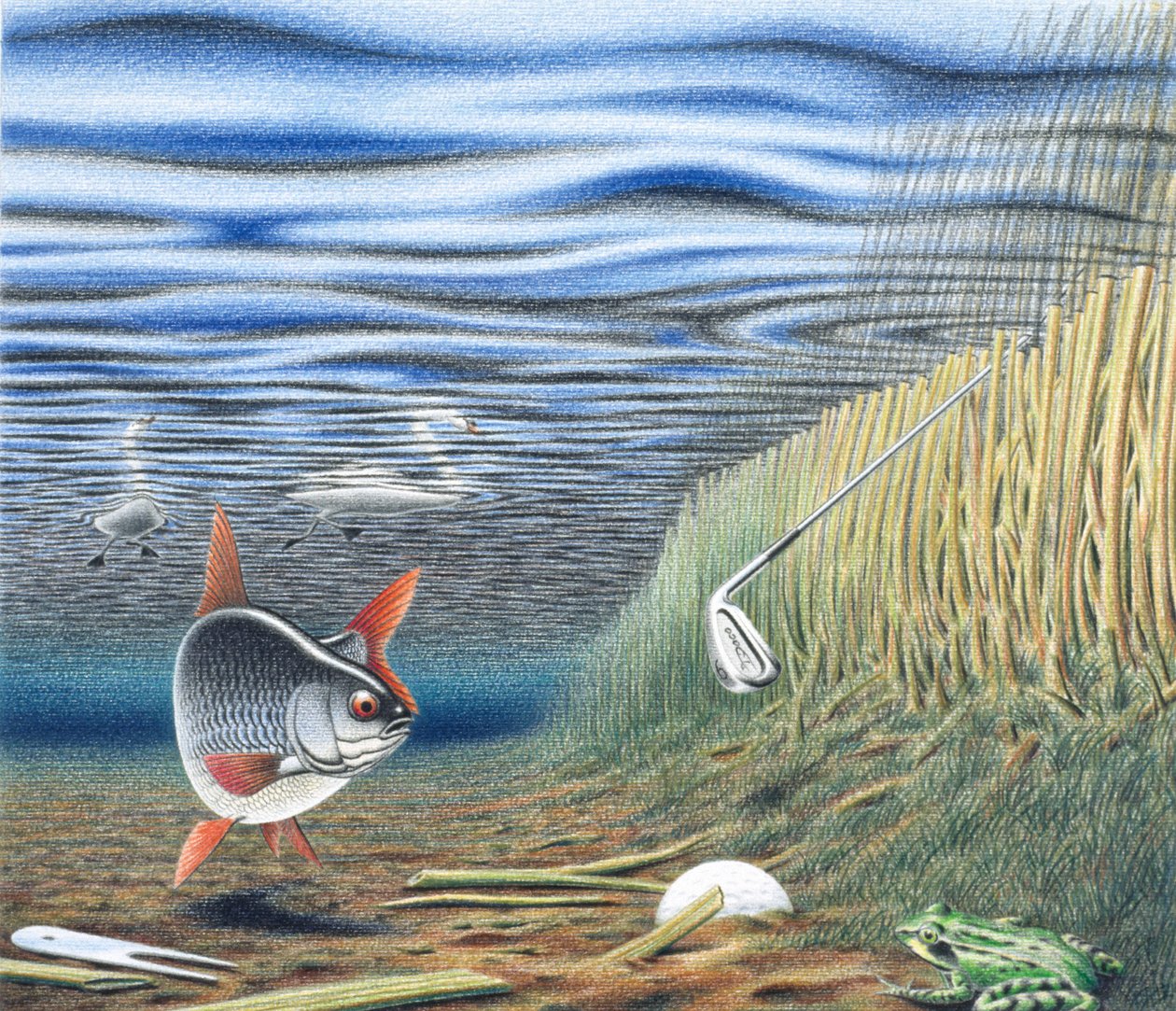 waterhazard-by-rene-boin-highest-quality-art-reproduction
