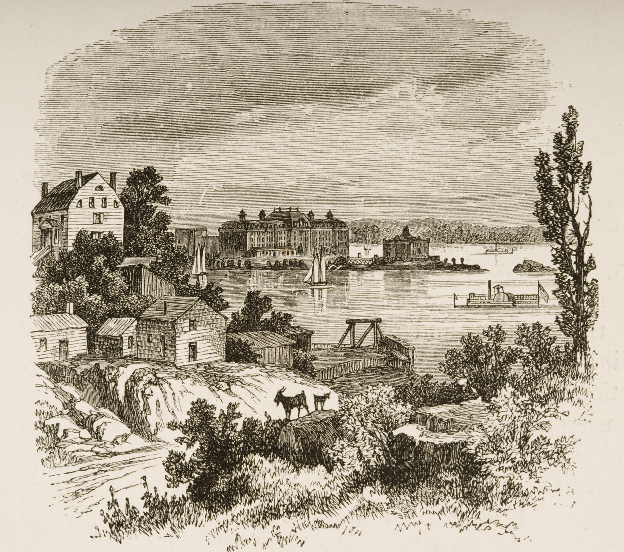 Turtle Bay and Blackwells Island, New York, c.1880 by Reverend Samuel Manning