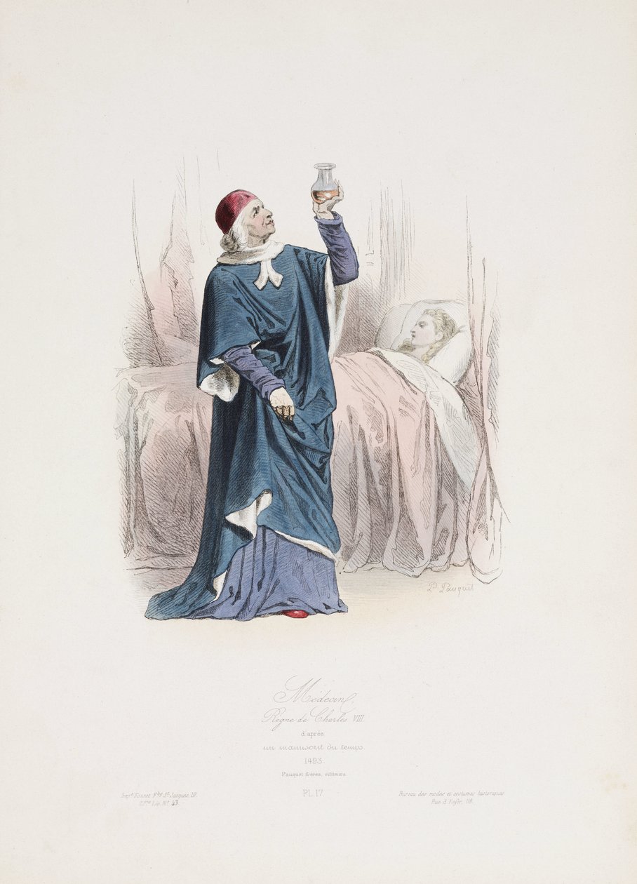 Patient Care, Reign of Charles VIII, France by John Pardon