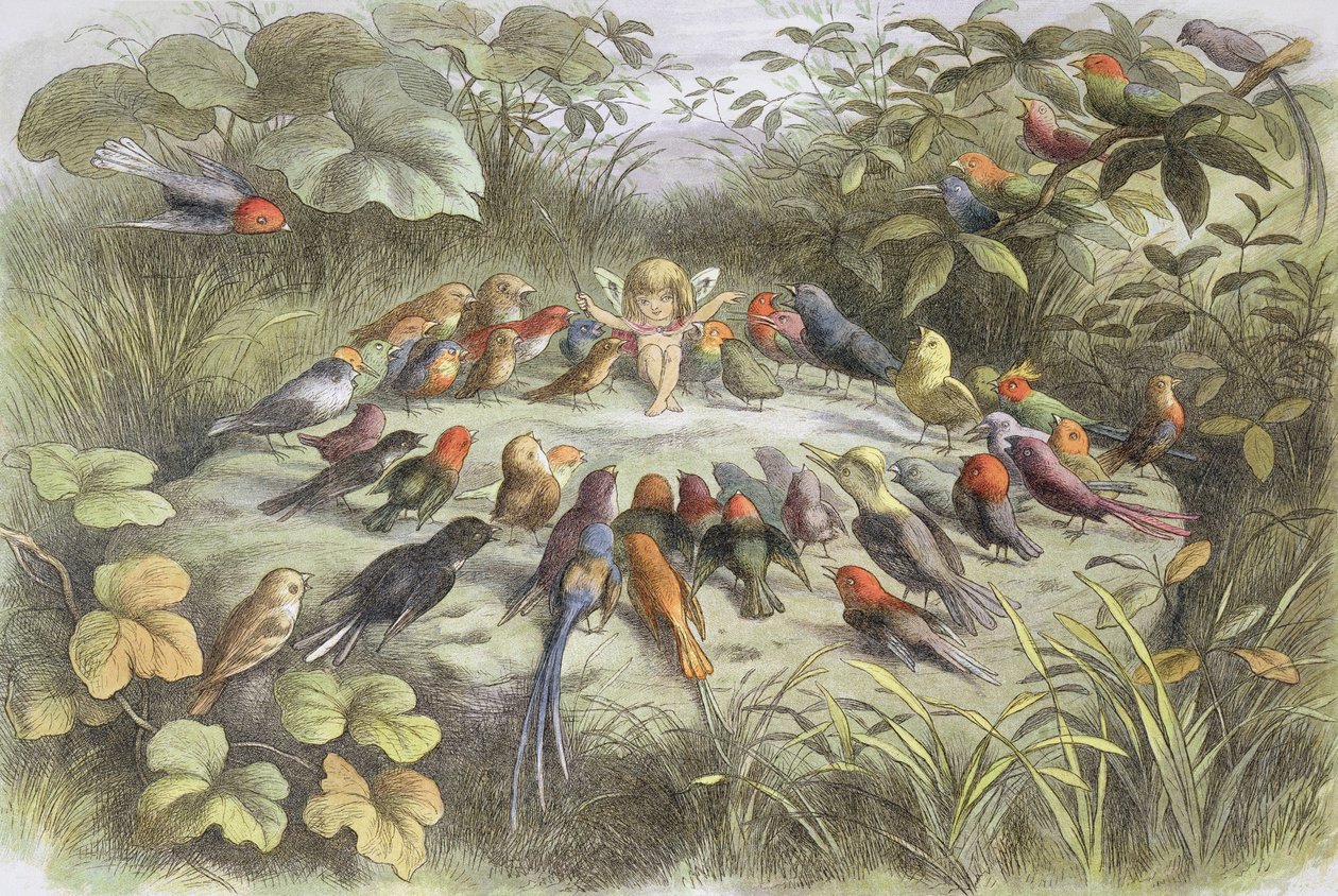 Music Rehearsal in Fairyland (Illustration from 'In Fairyland. Pictures ...