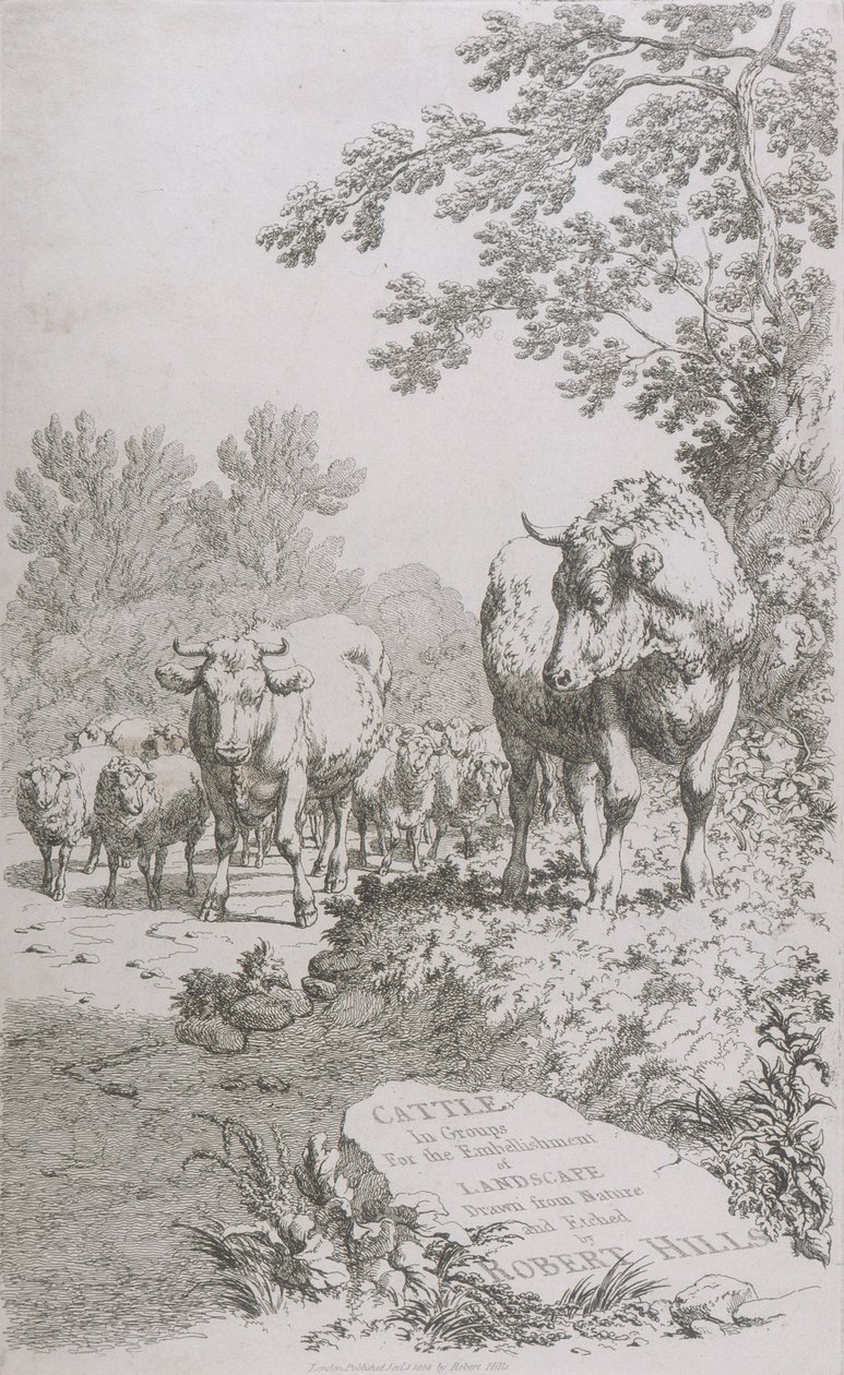 Title Page for Cattle in Groups for the embellishment of Landscape by Robert Hills