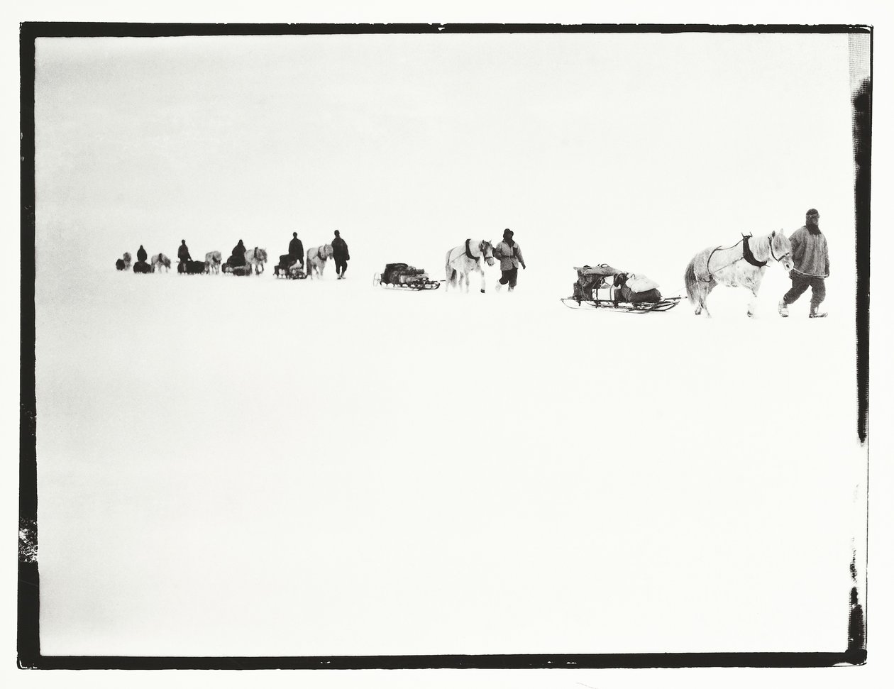 Ponies on the march, Great Ice Barrier, 2 December by Robert Falcon Scott
