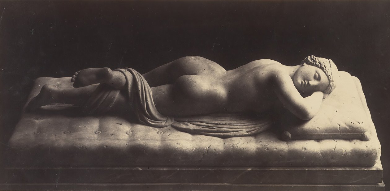 The Hermaphrodite by Robert MacPherson