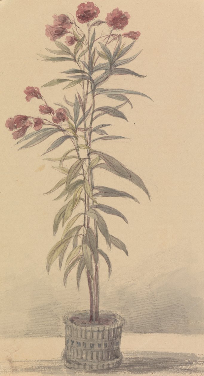 Illustrations to Shakespeare by Robert Smirke