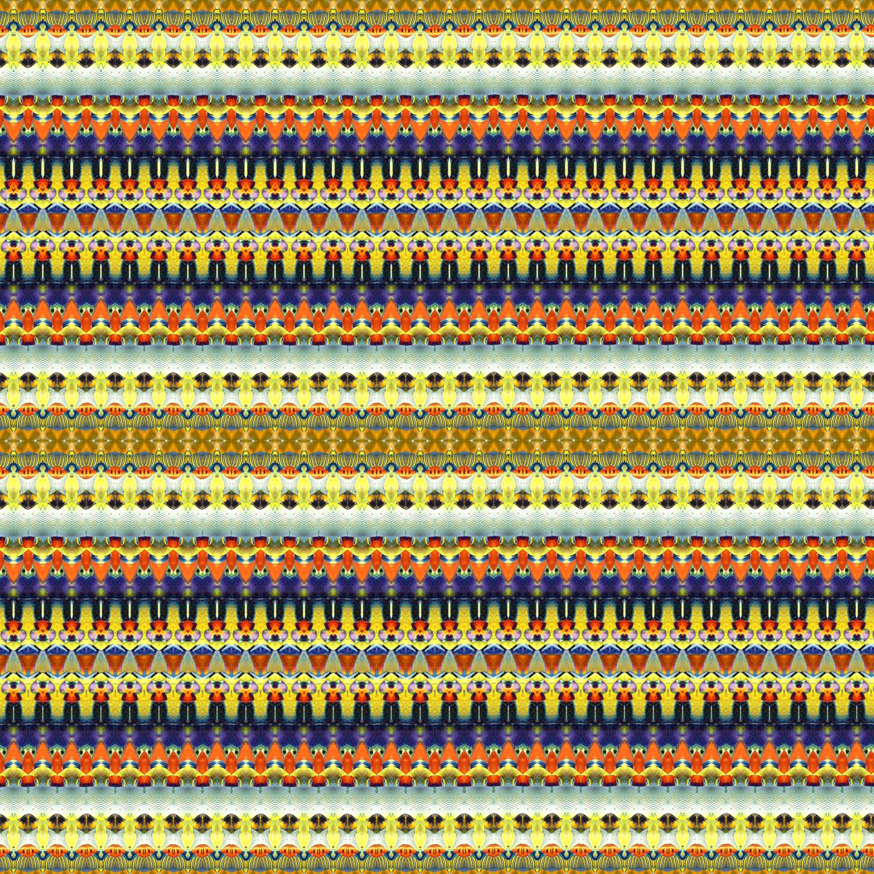 Tribal Orange Stripe by Robyn Parker