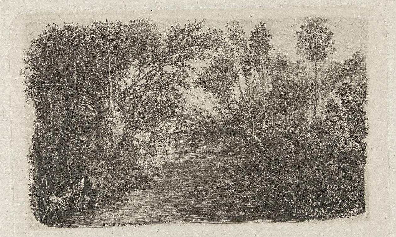 Landscape with stream and trees on banks by Rodolphe Bresdin