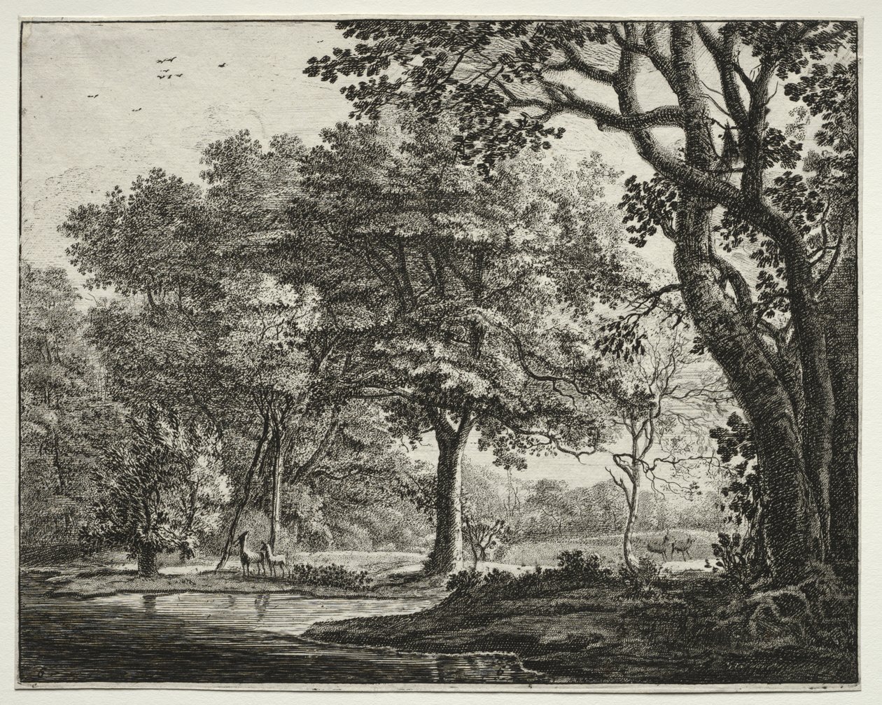 Six Views in the Wood of the Hague: Plate 6, Two Deer by Roelant Roghman