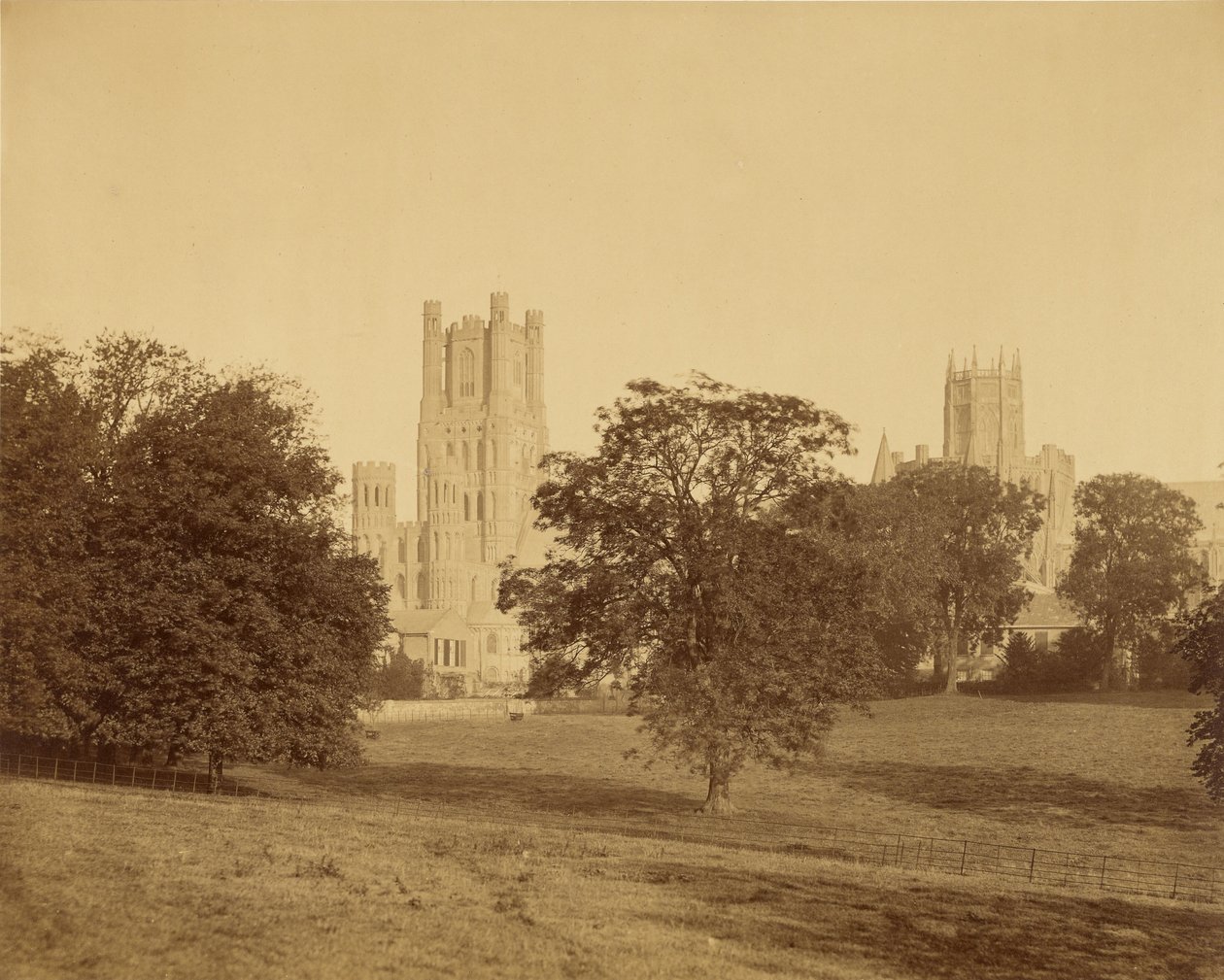 Ely Cathedral from the Park by Roger Fenton