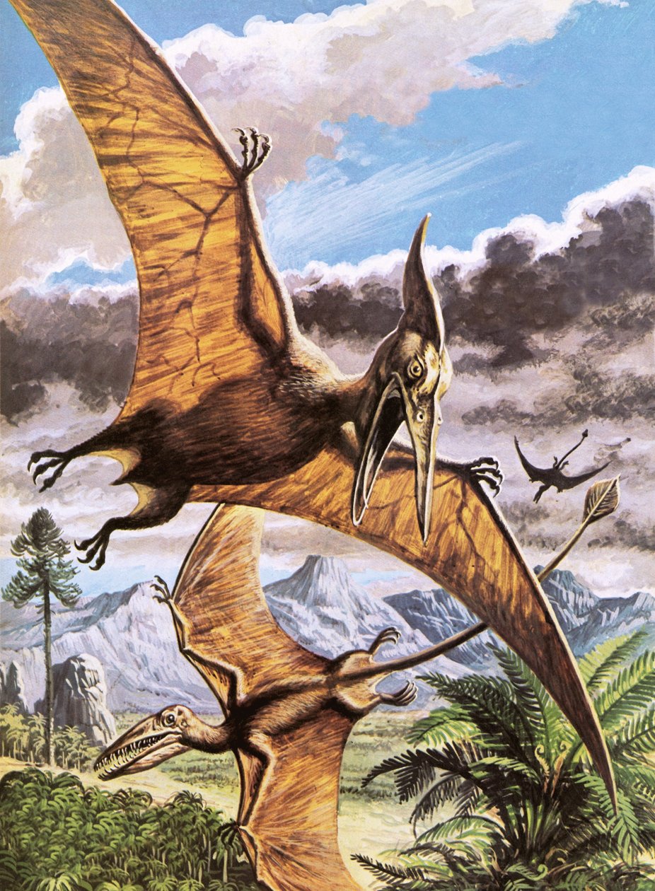 Pteranodon and Rhamphorhynchus by Roger Payne