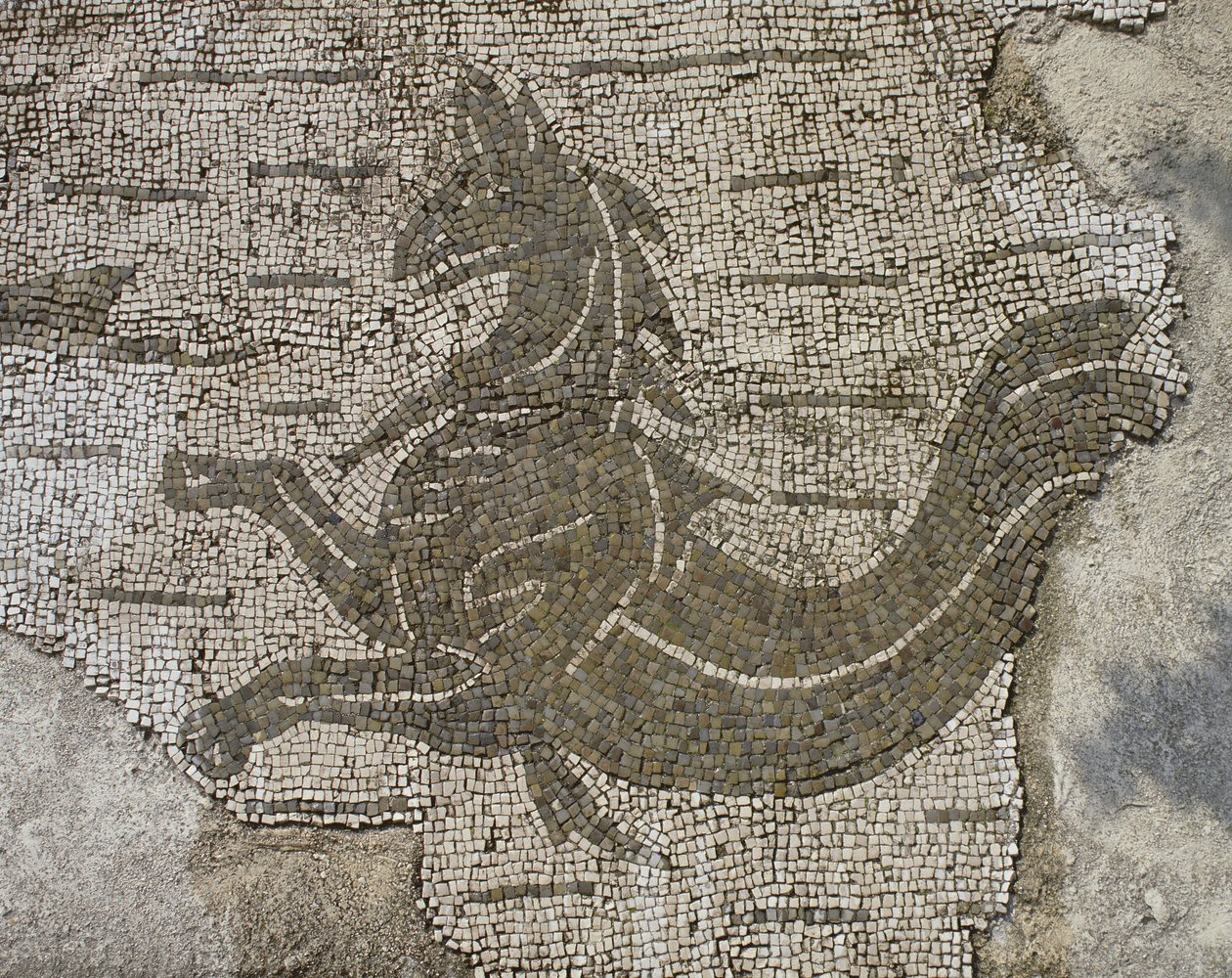 Dragon by Roman: Premium art reproduction