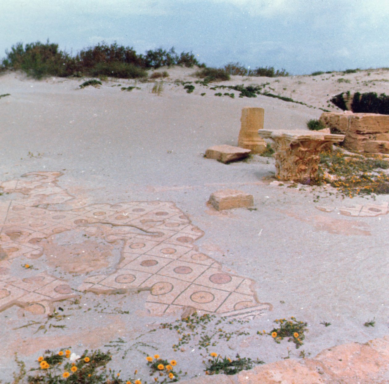Excavations in the dunes by Roman