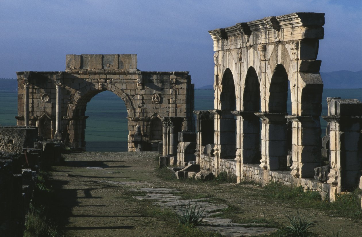 Portico on the Decumanus Maximus and triumphal arch of Caracalla by Roman