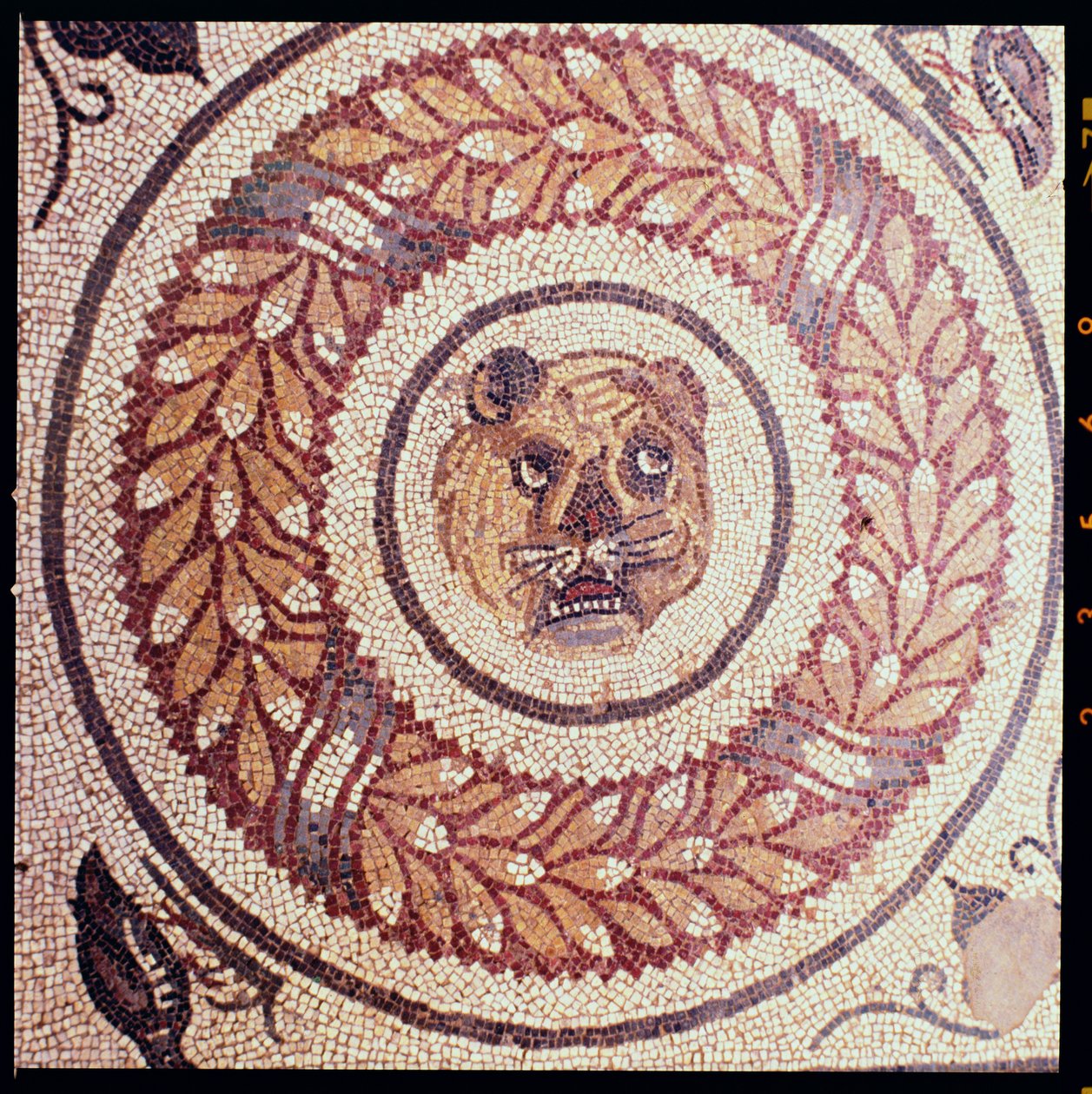 Tiger's head, Roman mosaic by Roman: Buy fine art print