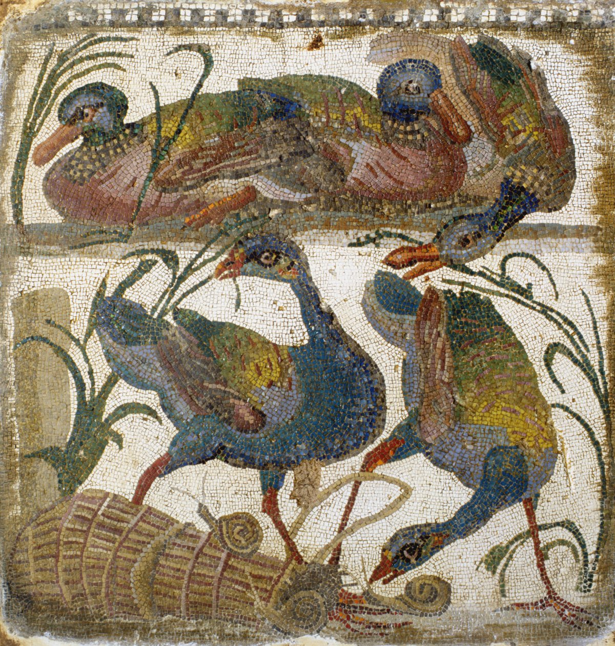 Waterfowl (Mosaic) by Roman