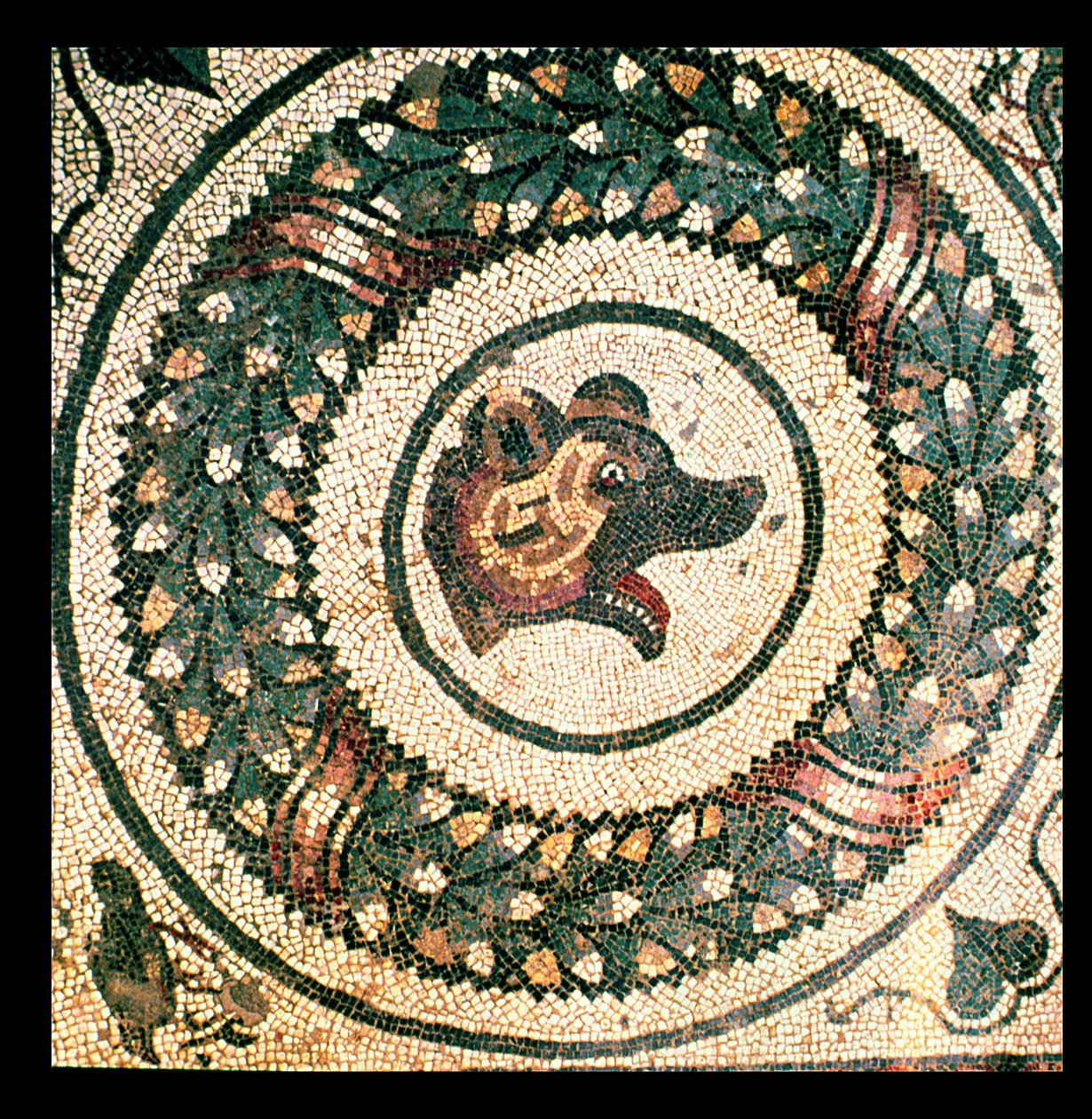 Bear's Head, Roman Mosaic by Roman: Buy fine art print